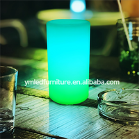 Lampe de table LED cylindrique moderne en plastique sans fil, à piles, avec télécommande, logo personnalisé imprimé, pour la décoration