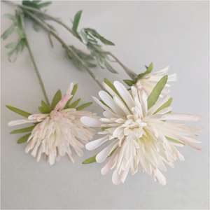 BH230047 Maceta pequeña de plástico verde con <span class=keywords><strong>planta</strong></span> de <span class=keywords><strong>IRIS</strong></span> Rosa artificial Decoración de flores de un color para <span class=keywords><strong>planta</strong></span> en maceta de seda de fiesta - Product Image 3