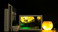 Boîte à lumière en papier avec forêt et wapiti, peintures lumineuses, lanterne en papier, modèle créatif 3D, cadeau familiale
