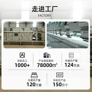 Oreiller rectangulaire Meimiankang en graines de cassia et de soja, ferme et respirant, pour dormeurs latéraux, soutien cervical pour adultes - Product Image 2