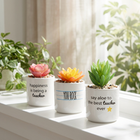 Pot de fleurs en céramique rétro personnalisé, petit Cactus, tapis de plantes succulentes blanches avec plateau en bambou