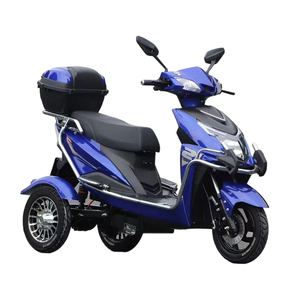 Tricycles motorisés Paige 1000W à trois roues, 60V-20Ah, avec pneus en aluminium, fabrication professionnelle - Product Image 1