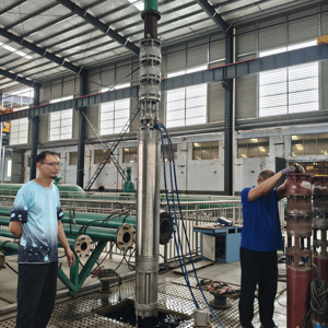 ปั๊มจุ่มใต้น้ำสแตนเลส 304 แบบกำหนดความถี่ได้ สำหรับน้ำทะเล SS316 สำหรับสูบน้ำบาดาล - Product Image 4