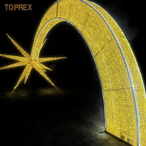 Guangdong Manufacturer Outdoor Christmas North Star Lights Waterproof Decorative Light 3D Metal Shooting Star Motif Lights