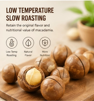 High-quality Shelled Australian Nuts, Food-grade Unprocessed OEM Production, Private Label, Grocery Retailers and Wholesalers