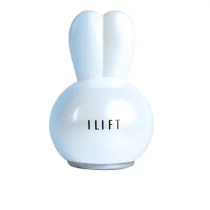 Mini rabbit facial body beauty red sunburn skincare pore shrink cool gadget Ice globe per regalo