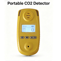 Détecteur de CO2 léger pour la sécurité, détecteur de dioxyde de carbone avec capteur NDIR haute performance, moniteur numérique de CO2 avec fonction d'alarme