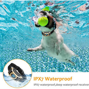 Hiçbir şok köpek tasması hayır havlayan şarj edilebilir izci köpek eğitim Anti Bark yaka - Product Image 3