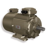 Prix de gros WEBP2 3kW IE3 Moteur asynchrone triphasé à efficacité énergétique Protection IP55 Contrôle de vitesse à fréquence variable