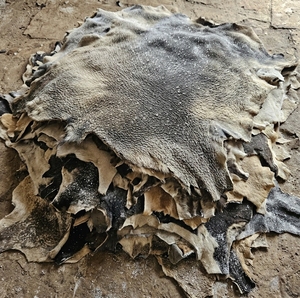 Double Faced Wet Salted Cowhides and Buffalo Hides Sustainable Raw Hide Supply for Global <b>Leather</b> Industry Importers - Product Image 1