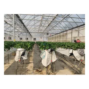 Greenhouse Hydroponic Greenhouse Manufacturing Commercial Greenhouse