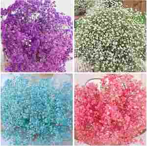 Factory Sale Preserved Baby Breath <b>Gypsophila</b> Flowers <b>Dried</b> Million Star Bouquet for Wedding/Home Decor - Product Image 2