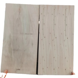Lámina de Madera Contrachapada de Eucalipto de Grado de Construcción DD, <span class=keywords><strong>SP</strong></span>-JAS TS/F4S C2, 12 mm, para el Mercado Japonés - Product Image 2