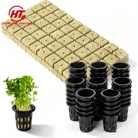 Cubes de laine de roche hydroponique à haute rétention d'eau et excellente aération 25x25x40mm 4000 cubes par boîte Vente en gros