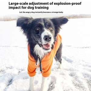 Hoge Kwaliteit Verstelbare Nylon Hondenhalsband Met Touw Riem Solide Patroon Voor Outdoor <span class=keywords><strong>Training</strong></span> Door Fabrikant Sap Huisdier - Product Image 2