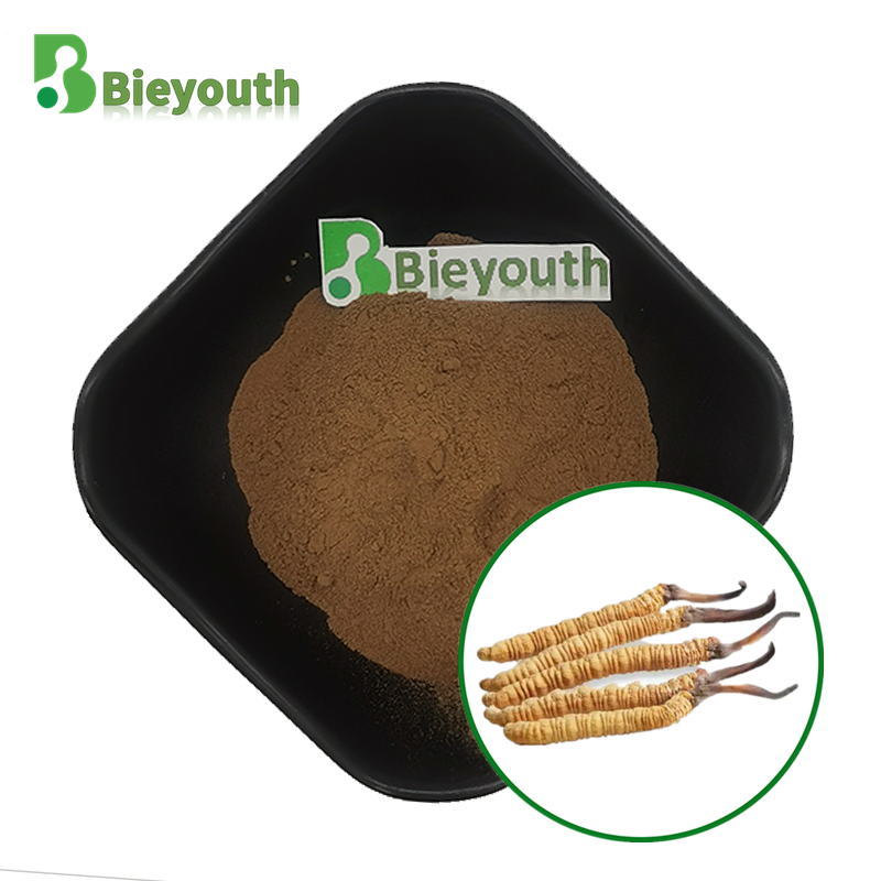 Лидер продаж, Заводская поставка, экстракт Кордицепса, порошок Cordyceps Sinensis Yarsagumba