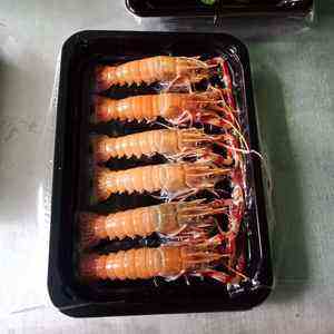 Offre Spéciale PA PE EVOH EVA vide VSP peau emballage vide rouleaux Films pour Steak viande os - Product Image 2