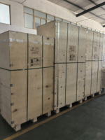Cage d'élevage vétérinaire OSCAT 304 en acier inoxydable assemblée, équipement vétérinaire, 13 portes, pour clinique vétérinaire et hôpital animalier