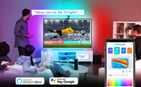 Bon prix Tuya Kits d'immersion avec télécommande WIFI Barres lumineuses intelligentes doubles Rubans LED RGBIC TV Rétro-éclairage avec caméra