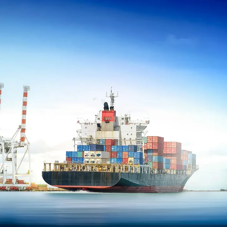 China Sea Shipping Agent из Китая в Индию, США, Мексику, Прямая поставка