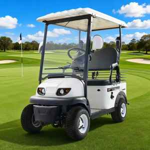 Voiturette <span class=keywords><strong>de</strong></span> <span class=keywords><strong>golf</strong></span> 2 places à prix bas, très vendue en 2026, <span class=keywords><strong>de</strong></span> haute qualité - Product Image 1