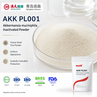 Poudre postbiotique lyophilisée inactivée d'Akkermansia muciniphila AKK PL001, 100 milliards d'UFC/gramme, qualité alimentaire, prête pour la personnalisation