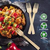 Ensemble de vaisselle jetable moderne en bambou avec infuseur à thé, biodégradable, compostable, résistant au micro-ondes et à la chaleur, couverts complets pour