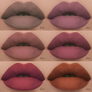 Kit de vernis à lèvres longue durée, produit cosmétique, brillant à lèvres mat, étanche, 43 couleurs, vente en gros - Product Image 2