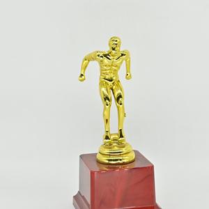 Trophée personnalisé plaqué or fabriqué en Chine Matériaux en plastique World Trophy Cup Fabricant Professional Design Craft Kit - Product Image 4