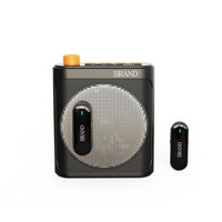 Microphone cravate amplifié Bluetooth avec batterie intégrée, haut-parleur haute puissance pour l'enseignement en classe et l'utilisation en extérieur, petit micro en forme d'abeille