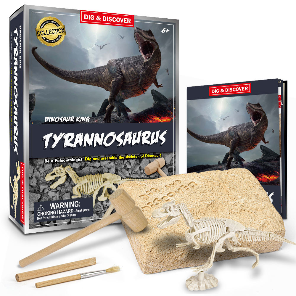 Tyrannosaurus Dig Kits