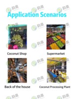 Zware-duty kokosnootschilmachine voor restaurants en fruitverwerking