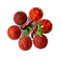 Pâte à épices pour barbecue |   Assaisonnements |   Épices (en bouteille en usine/en vrac/emballées en conteneur) |   Piment/Poudre de piment |   200g |