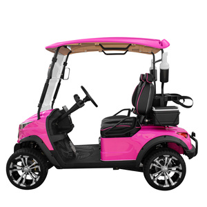 Fabricación al por Mayor de Carritos de Golf de 2 Plazas, Mini Carros de Golf, Buggies para Calle y Carretera, Carritos de Golf Utilitarios - Product Image 4