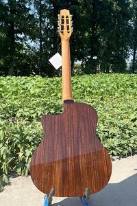 Aiersi العلامة التجارية الصلب سلسلة الصوتية الغجر الجاز الغيتار الصلبة الأرز أعلى D حفرة الجسم روزوود خمر البلوجراس الموسيقى أداة - Product Image 3