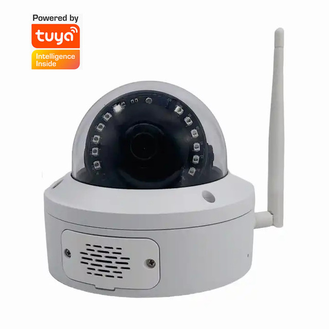 TUYA Smart Home Surveillance Camera with AI Human Detection Vandal Proof Dome POE IP Security CCTV Camera