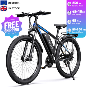 Vélo de montagne électrique hybride ODM&OEM Pro, batterie au lithium 250W, 21 vitesses, alliage d'aluminium, cargo - Product Image 1