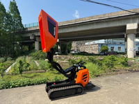 ANTSPOWER 2026 Schnelle Lieferung 600KG Diesel Hydraulischer Sensitiver Kraftbetriebener Minidumper – Heiß begehrter günstiger chinesischer Mini-Dumper
