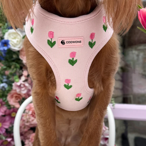 OEMカスタム ピンクチューリップ刺繍 犬用ハーネス 柔らかメッシュ リード 通気性 抜け出し防止 調節可能 ステップイン ベスト型ハーネス - Product Image 2