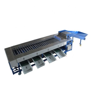 Macchina automatica ad alte prestazioni per il lavaggio e la classificazione dei pomodori ciliegia piccoli e medi/<span class=keywords><strong>ciliegie</strong></span>/cipolle al limone - Product Image 1