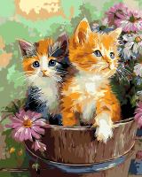 Kit de Peinture Acrylique par Numéros Prêt à Expédier, Cadre DIY pour Photo de Chat 40*50cm, Art Mural pour Décoration de Salon