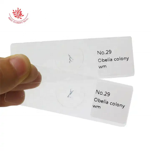 Portaobjetos de microscopio de Colonia Obelia Portaobjetos de microscopio de educación superior Microbiología Coelenterate Microslide - Product Image 3