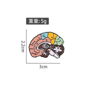 Broche de cérebro médico de anatomia com alfinetes, lapela esmaltada colorida delicada, joia de medicina para médicos e enfermeiros, mais novo - Product Image 5