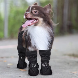 Sepatu Anjing Fishprincess Desain Baru dengan Celana Legging Anti Air, <span class=keywords><strong>Harness</strong></span> Anti Kotor, Aksesoris Pakaian Hewan Peliharaan - Product Image 2