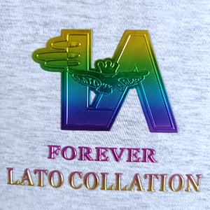 Etiqueta de Transferencia de Calor Personalizada, Holograma de Metal Dorado y Plateado, Insignia con Logotipo en Relieve, Parches de Tpu 3D para Planchar, Sombreros de Ropa - Product Image 6