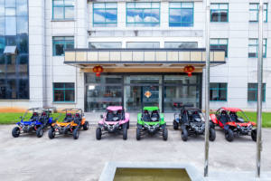 Renli EPA 200cc Adulte Pedal Go-Kart Off-Road Buggy Crazy Cart 4 Temps - Product Image 2