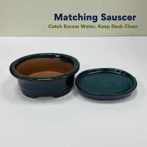 Maceta de Cerámica para Bonsái, Pequeña, Multi-Estilo, con Acabado Azul, Duradera, Ecológica, para Uso en Interiores y Exteriores - Product Image 6