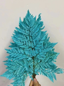 <span class=keywords><strong>Felce</strong></span> in pelle conservata con fiori secchi più venduti per la decorazione domestica - Product Image 6