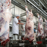 Ligne d'abattage de bétail de moyenne taille, usine d'abattage de bétail de grande capacité pour la transformation de la viande de bœuf, projet clé en main d'abattage de vaches