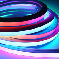 Bande lumineuse souple LED en silicone multicolore pour la publicité extérieure, avec effet lumineux et atmosphérique